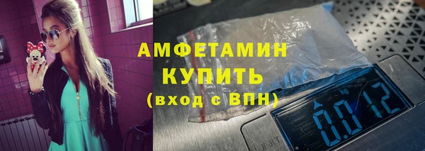 шишки Абаза