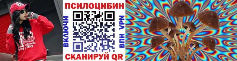 Псилоцибиновые грибы Psilocybe  купить наркотики сайты  маркетплейс наркотические препараты  Черепаново 